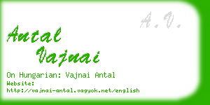 antal vajnai business card